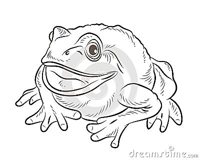 Frog. Black and white image. Coloring book for kids. Isolated, background. Stock Photo